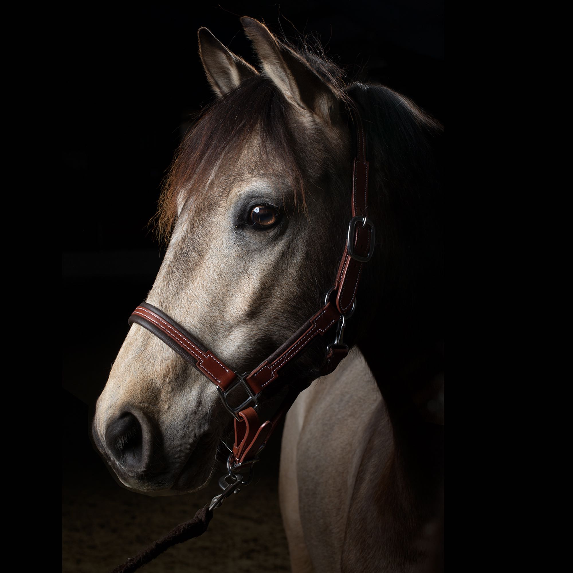 Portfolio image