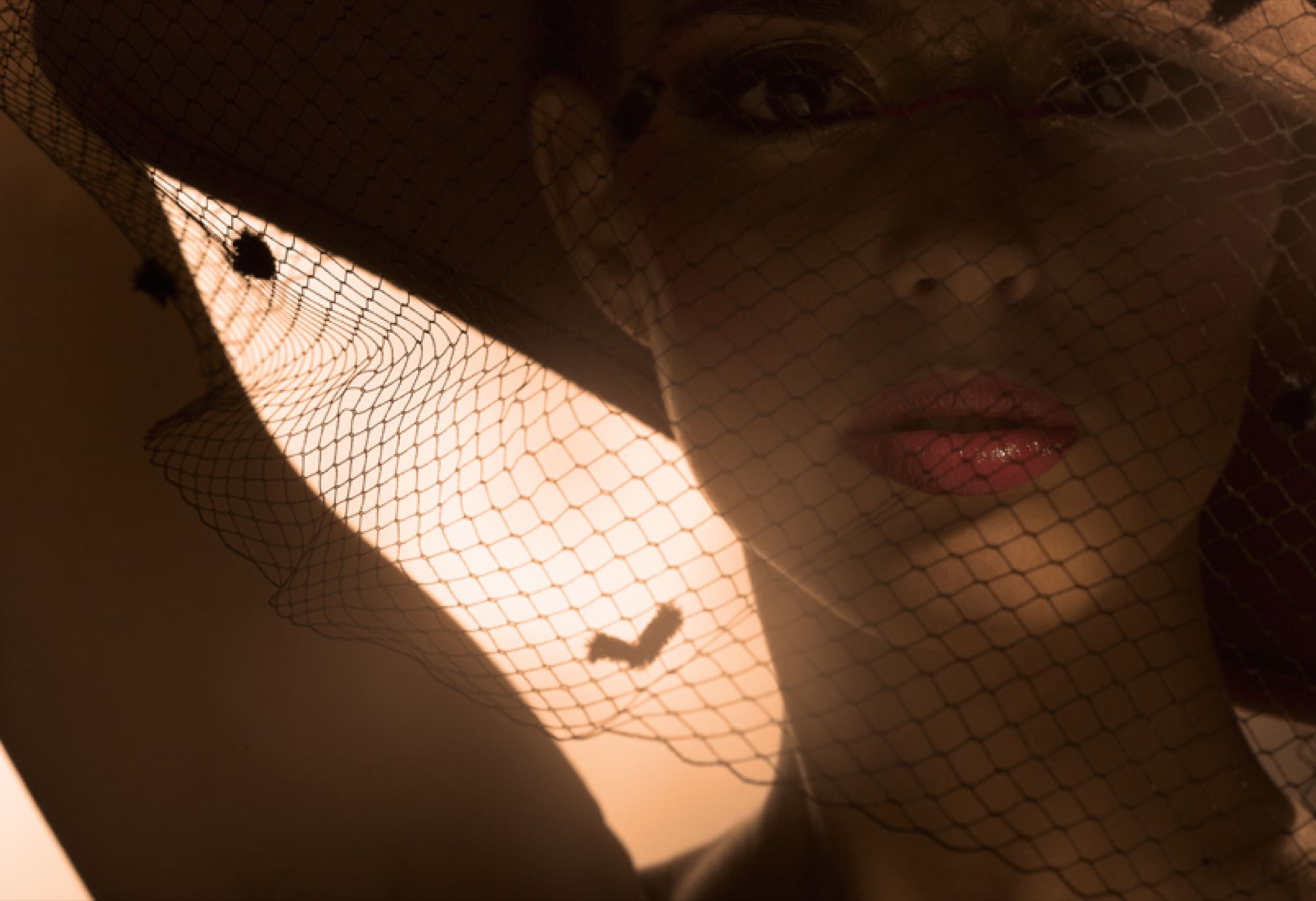 Portfolio image