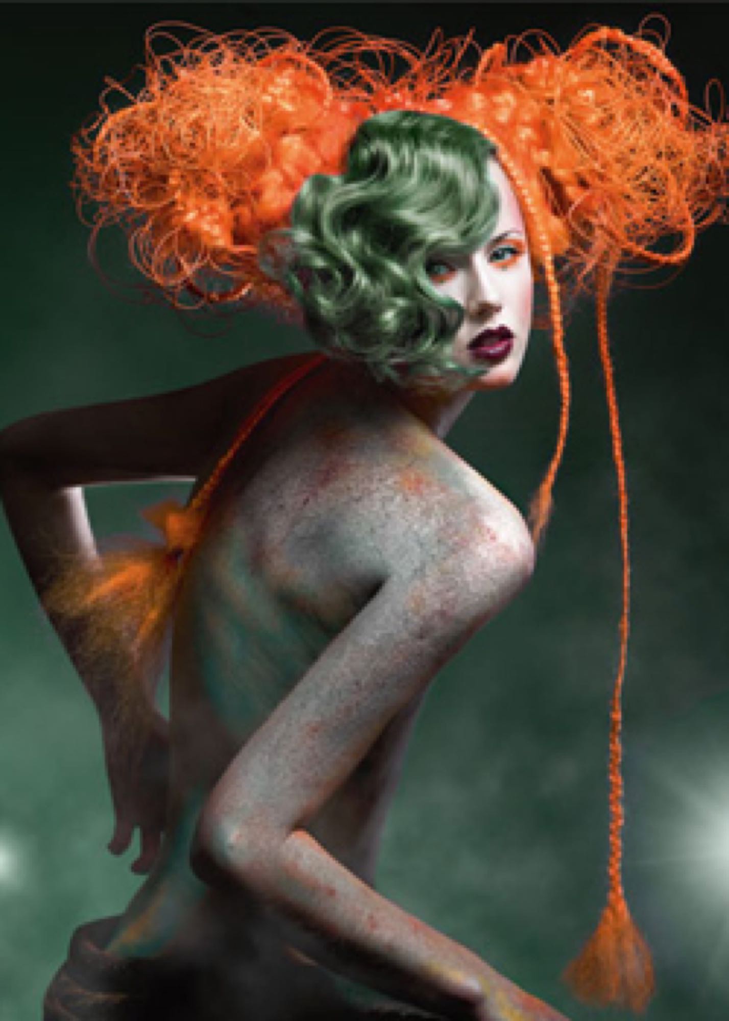 Portfolio image